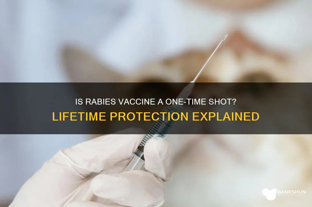 is rabies vaccine once in a lifetime