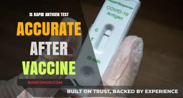 Rapid Antigen Test Accuracy Post-Vaccination: What You Need to Know