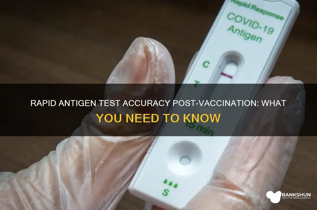is rapid antigen test accurate after vaccine