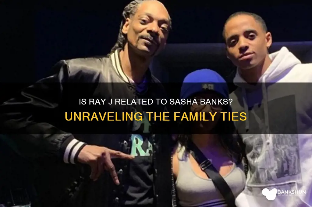 is ray j related to sasha banks