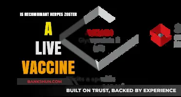 Recombinant Herpes Zoster Vaccine: Live or Not? Understanding the Science