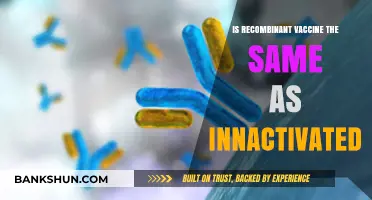 Recombinant vs. Inactivated Vaccines: Understanding the Key Differences