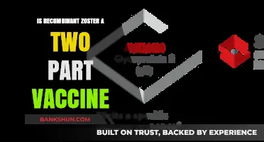 Recombinant Zoster Vaccine: Understanding Its Two-Part Administration Process