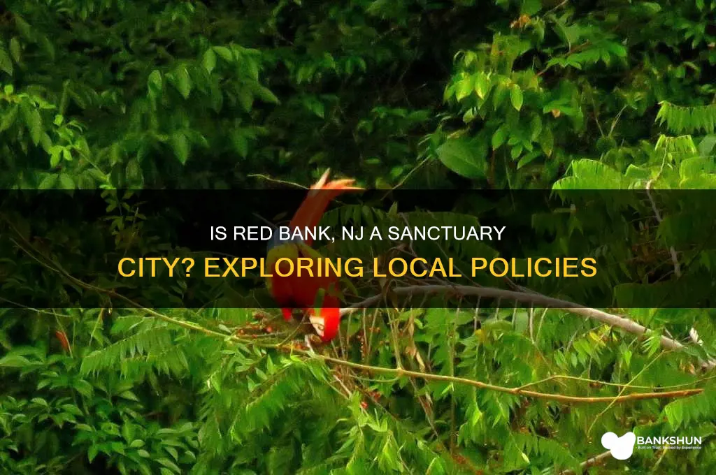 is red bank nj a sanctuary city