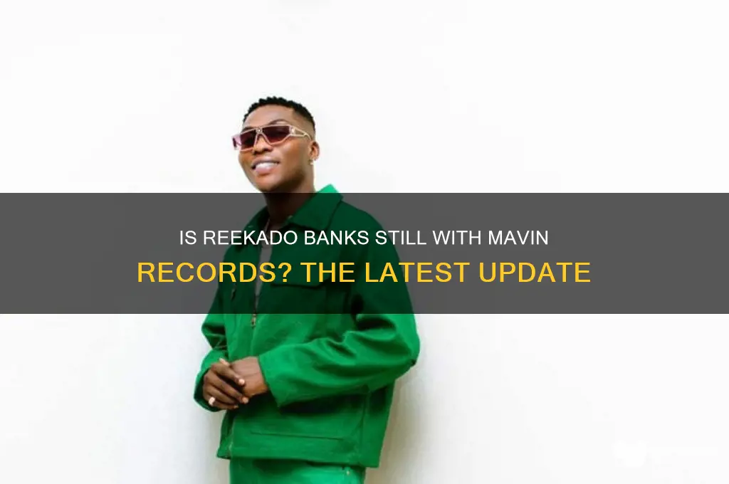 is reekado banks still in mavin records