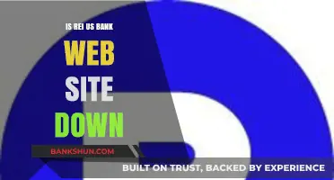 Is REI US Bank Website Down? Check Status and Solutions