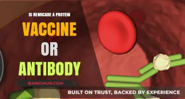 Understanding Remicade: Protein Vaccine or Antibody Therapy Explained