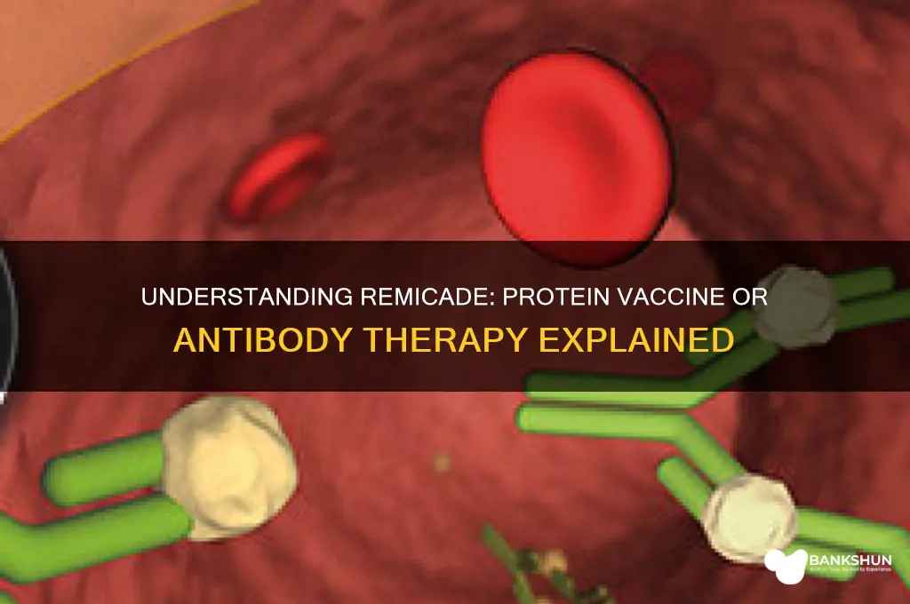 is remicade a protein vaccine or antibody