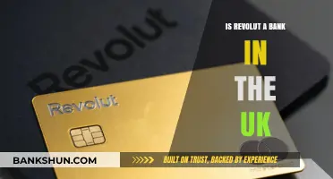 Is Revolut a Bank in the UK? Understanding Its Financial Status