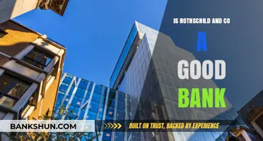 Rothschild & Co: A Good Bank for Your Financial Needs?