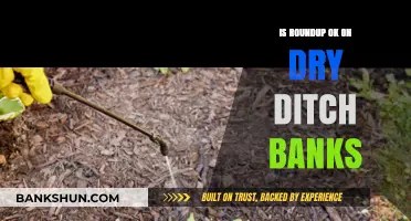 Is Roundup Safe for Dry Ditch Banks? Expert Insights and Tips