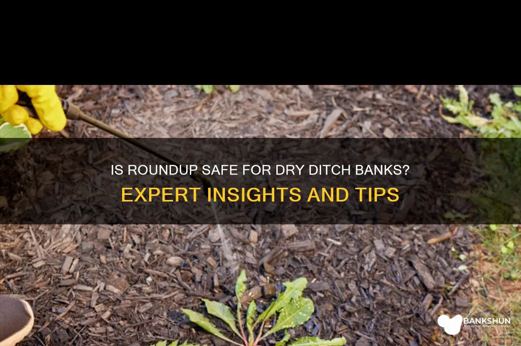 is roundup ok on dry ditch banks
