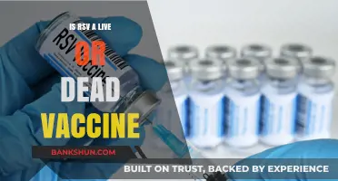 Is RSV Vaccine Live or Dead? Understanding the Vaccine Type