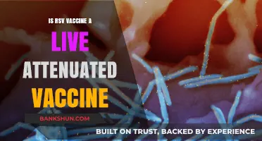 Is RSV Vaccine Live Attenuated? Understanding Its Development and Safety