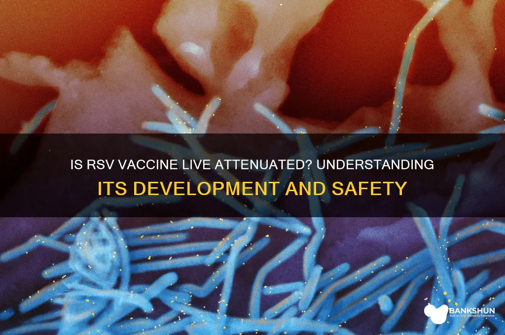 is rsv vaccine a live attenuated vaccine