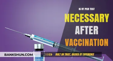 Is RT-PCR Testing Still Essential Post-Vaccination? Key Insights