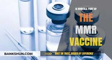 Is Rubeola Included in the MMR Vaccine? Key Facts Explained