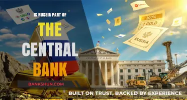 Is Russia Affiliated with the Central Bank? Exploring the Connection