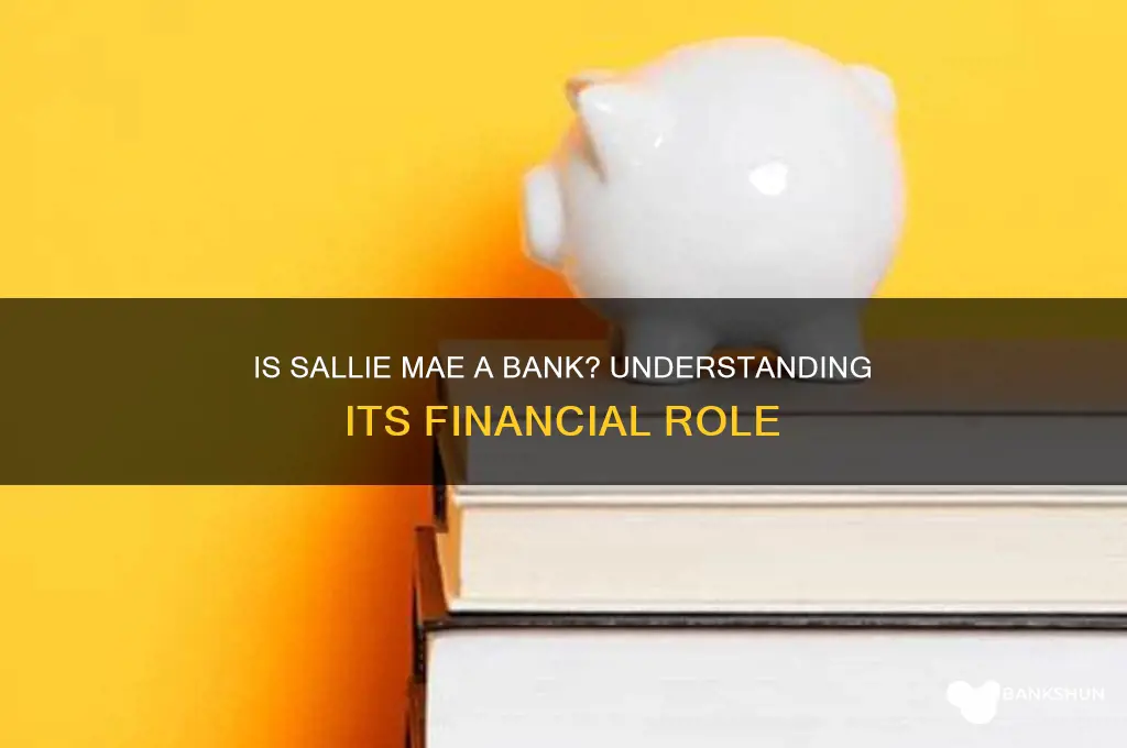 is sallie mae considered a bank type