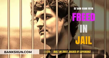 Sam Bankman-Fried's Jail Status: Is He Free Now?