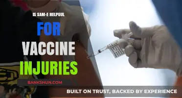 Can SAM-e Aid Recovery from Vaccine Injuries? Exploring the Evidence