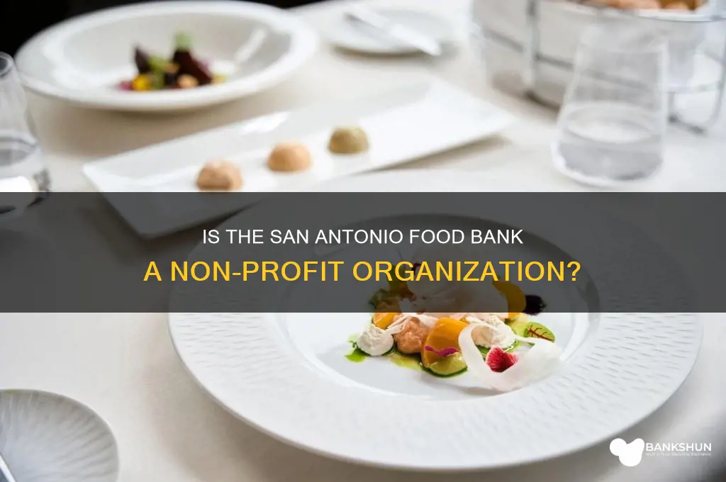 is san antonio food bank non profit