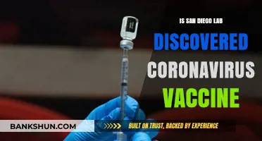 San Diego Lab's Potential Breakthrough: Discovering a Coronavirus Vaccine?