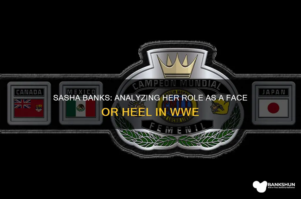 is sasha banks a face or heel