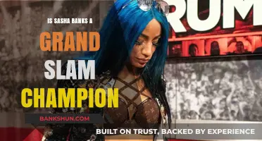 Is Sasha Banks a Grand Slam Champion? Unraveling Her WWE Achievements