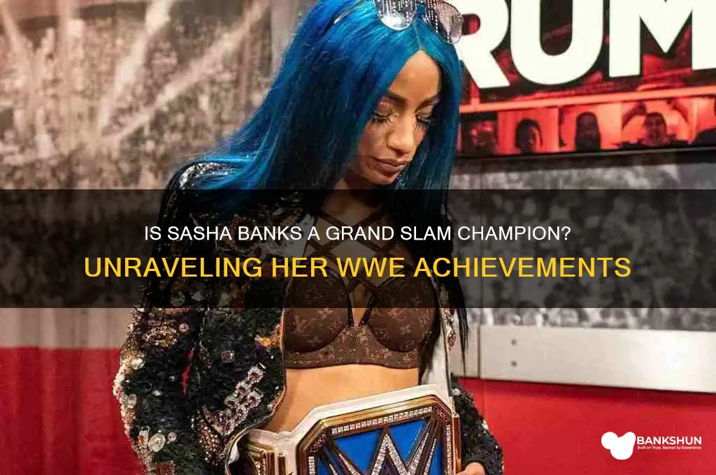 is sasha banks a grand slam champion