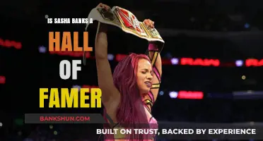 Is Sasha Banks a WWE Hall of Famer? Analyzing Her Legacy