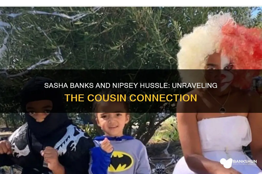 is sasha banks and nipsey hussle cousins