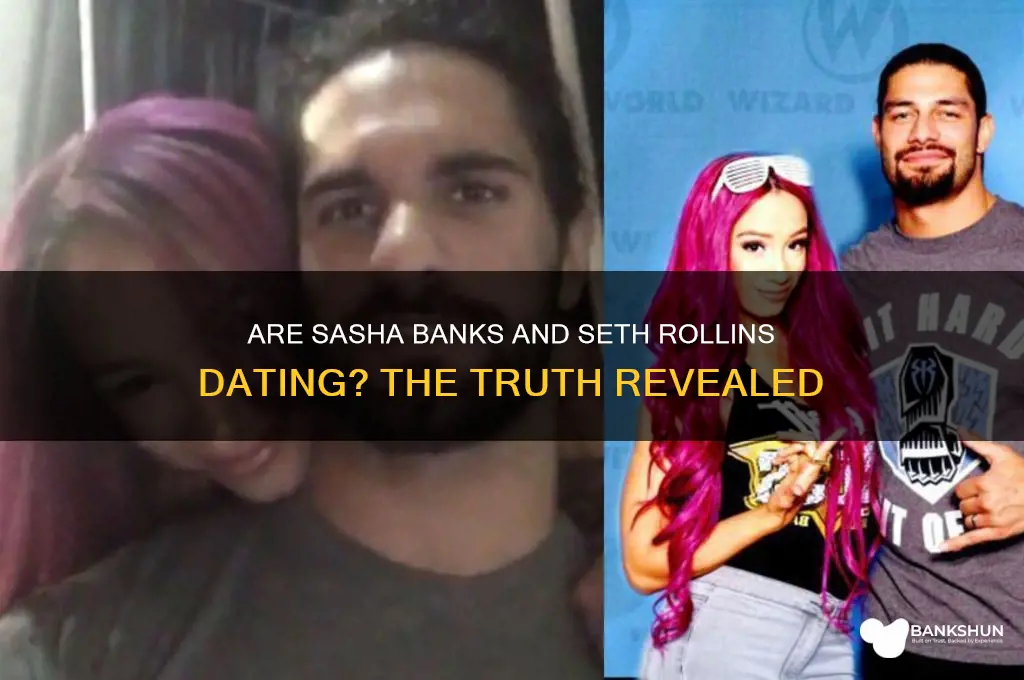is sasha banks and seth rollins together