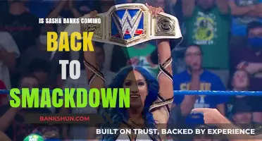Sasha Banks' SmackDown Return: Rumors, Speculations, and What's Next