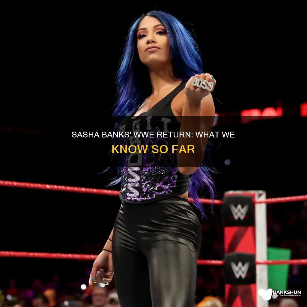 is sasha banks coming back to wwe