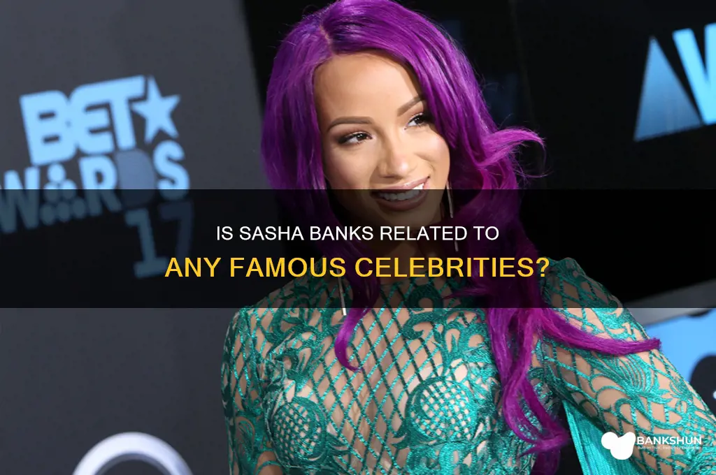 is sasha banks cousins with any celebrity