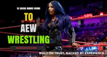 Sasha Banks to AEW: Fact or Fiction? Wrestling Fans Speculate