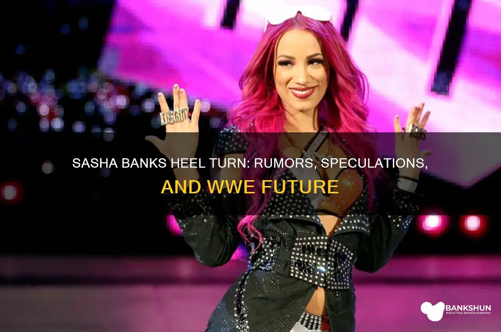 is sasha banks going to turn heel