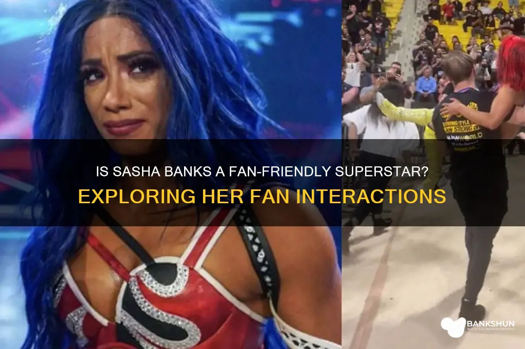 is sasha banks good to her fans