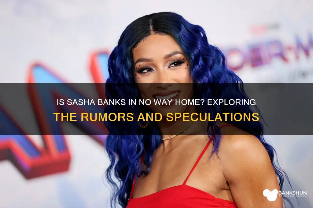is sasha banks in no way home