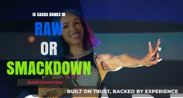 Sasha Banks' WWE Brand: Raw or SmackDown in 2023?