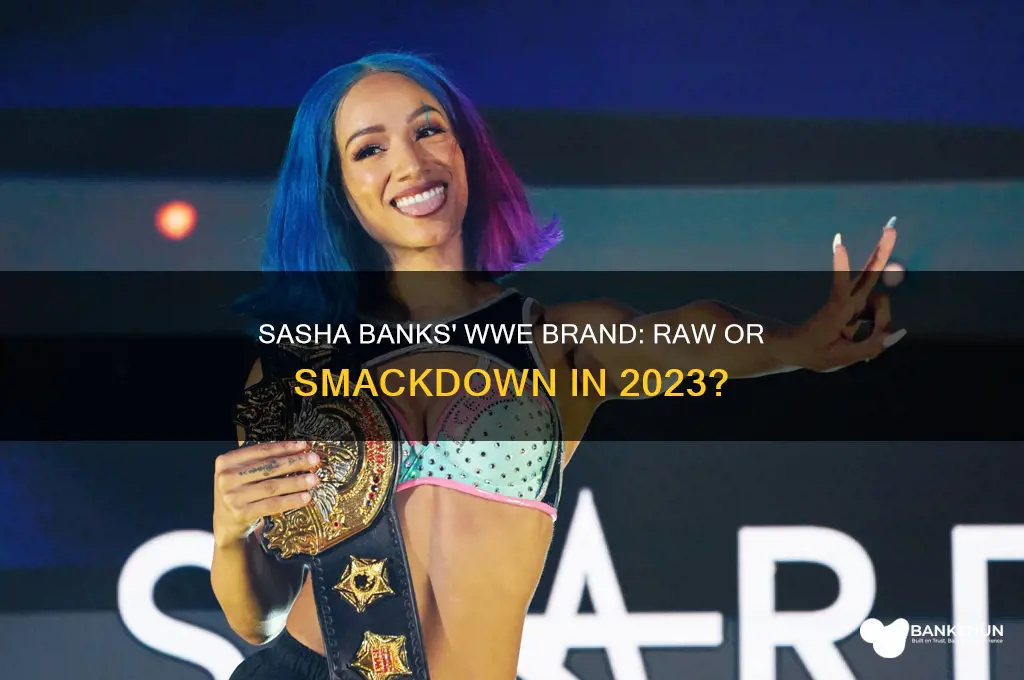 is sasha banks in raw or smackdown