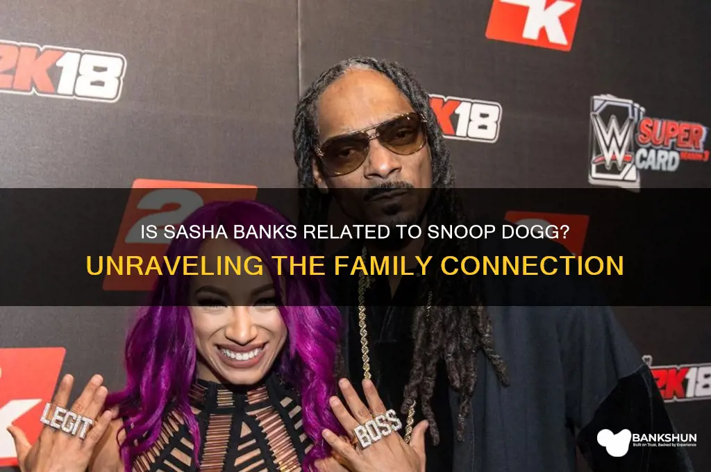 is sasha banks kin to snoop dogg
