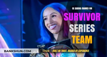 Is Sasha Banks Joining the Survivor Series Team This Year?