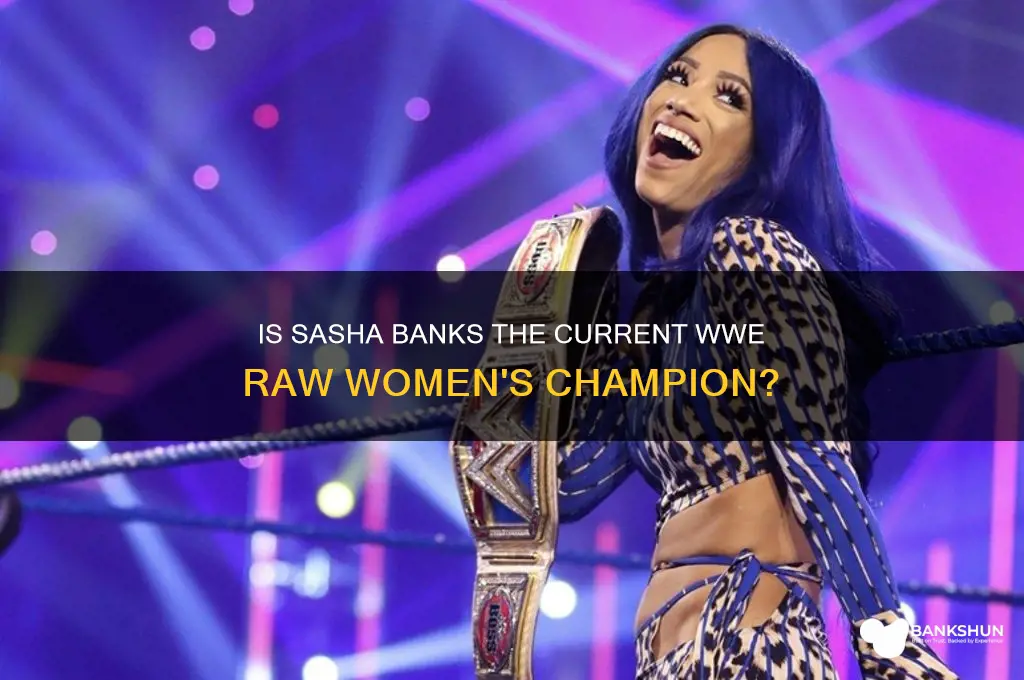 is sasha banks raw women