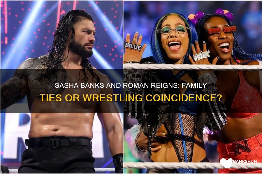 is sasha banks related to roman reigns