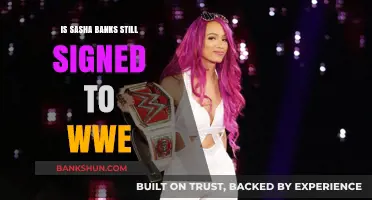 Is Sasha Banks Still with WWE? Latest Contract Updates