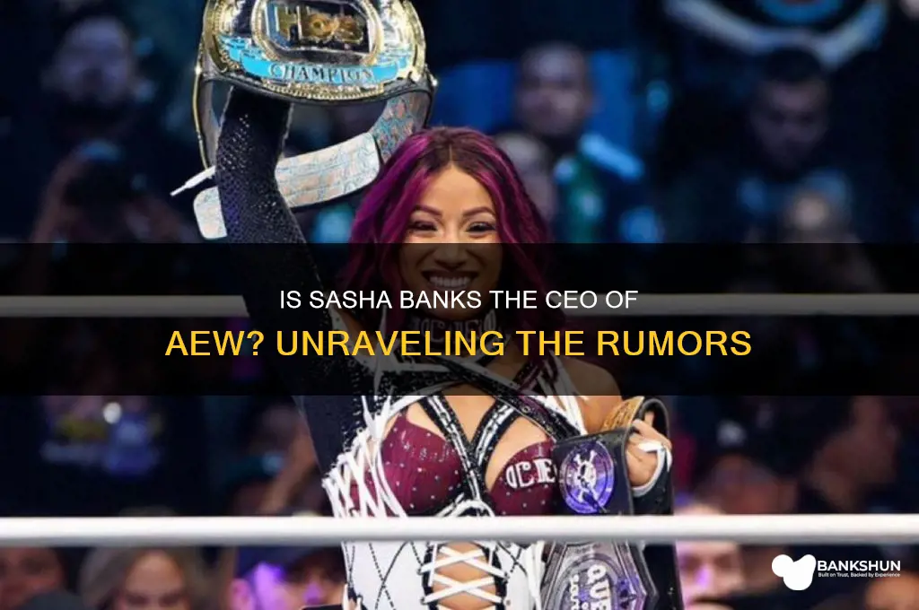 is sasha banks the ceo of aew