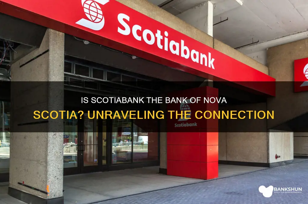 is scotiabank the bank of nova scotia