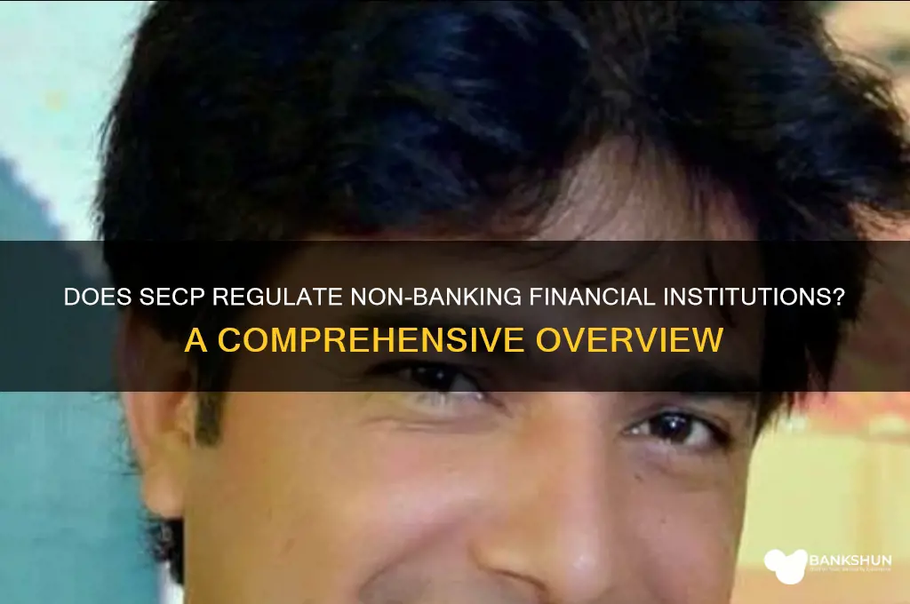 is secp regulate non banking financial institutions